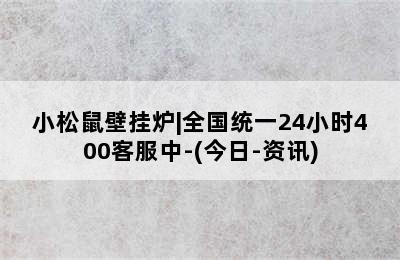 小松鼠壁挂炉|全国统一24小时400客服中-(今日-资讯)